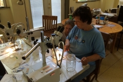 Zelma Boggess and Kelly Rausch discuss queen insemination